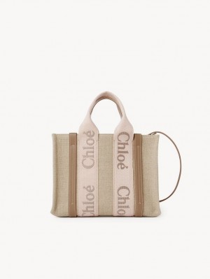 BLUSHY BEIGE Chloe Small Woody Crossbody Bags | CHE-SR13623