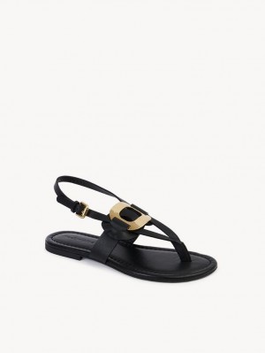 Black Chloe Chany Sandals | CHE-SR14844