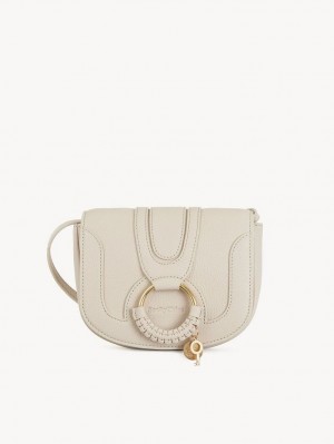 Cement Beige Chloe Hana Mini Bags | CHE-SR14784