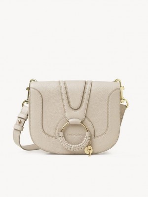 Cement Beige Chloe Hana Shoulder Bags | CHE-SR14685