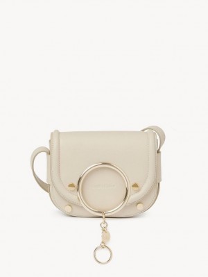 Cement Beige Chloe Mara Small Shoulder Bags | CHE-SR14618