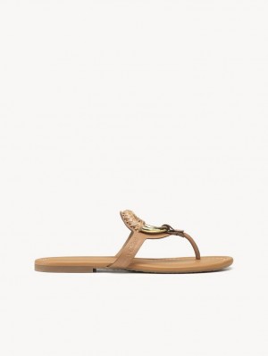 Cuoio Chloe Hana Flip-flop Flats | CHE-SR14818