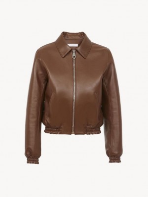 DARK CHESNUT Chloe Short Blouson Jackets | CHE-SR13797