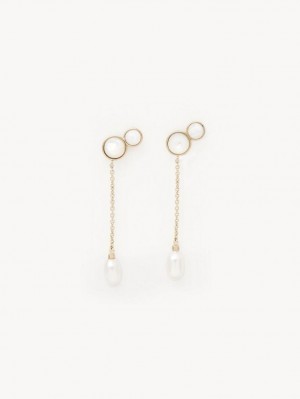 GOLD COLOR Chloe Darcey Long Earrings | CHE-SR14362