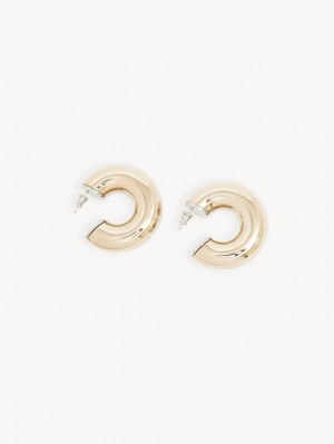 GOLD COLOR Chloe Nancy Hoop Earrings | CHE-SR14355