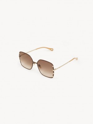 GOLD / BROWN Chloe Celeste Sunglasses | CHE-SR14528