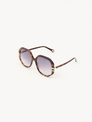 HAVANA / GRAD BLUE Chloe West Sunglasses | CHE-SR14559