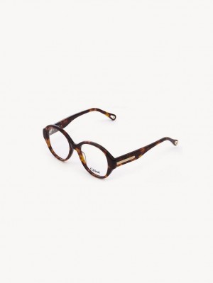 Havana Chloe Mirtha Eyeglasses | CHE-SR14583