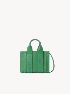 POP GREEN Chloe Mini Woody Crossbody Bags | CHE-SR13527