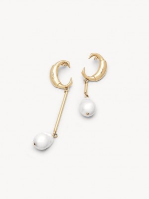 Pearl Chloe Darcey Baroque Earrings | CHE-SR14402