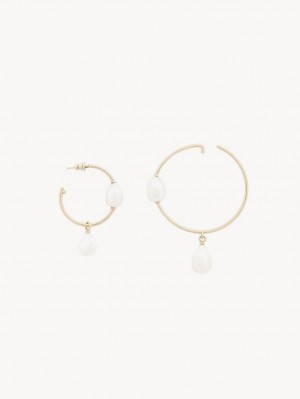 Pearl Chloe Darcey Hoop Earrings | CHE-SR14442