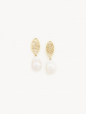 Pearl Chloe Darcey Lace Drop Earrings | CHE-SR14438