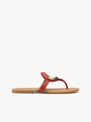 RED 301 Chloe Hana Flip-flop Flats | CHE-SR14817