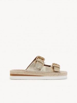 SCARLATTO Chloe Glyn Platform Espadrille Sandals | CHE-SR14831