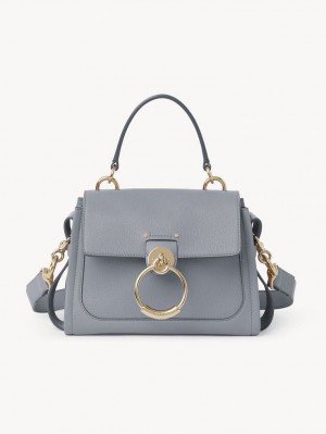 STORM BLUE Chloe Mini Tess Day Crossbody Bags | CHE-SR13598