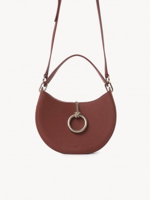 Sepia Brown Chloe Arlène Small Hobo Crossbody Bags | CHE-SR13604