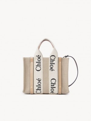 White - Beige 1 Chloe Small Woody Crossbody Bags | CHE-SR13490