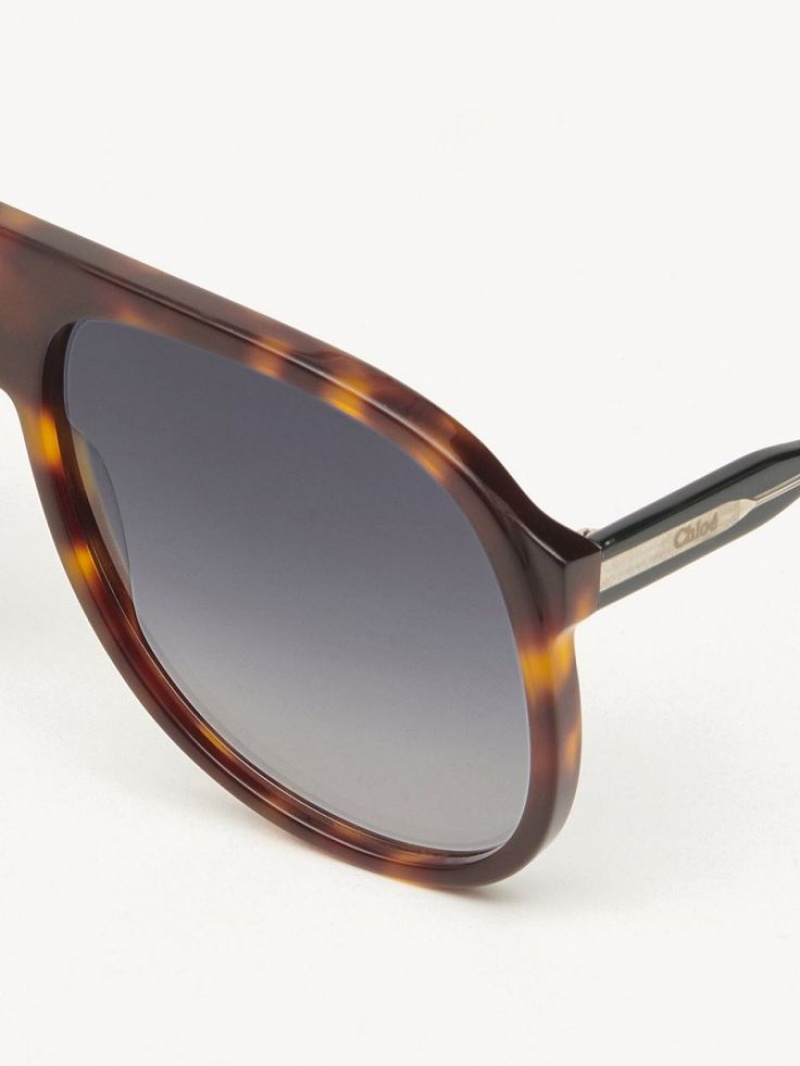 BLACK/HAVANA Chloe Dannie Sunglasses | CHE-SR14569