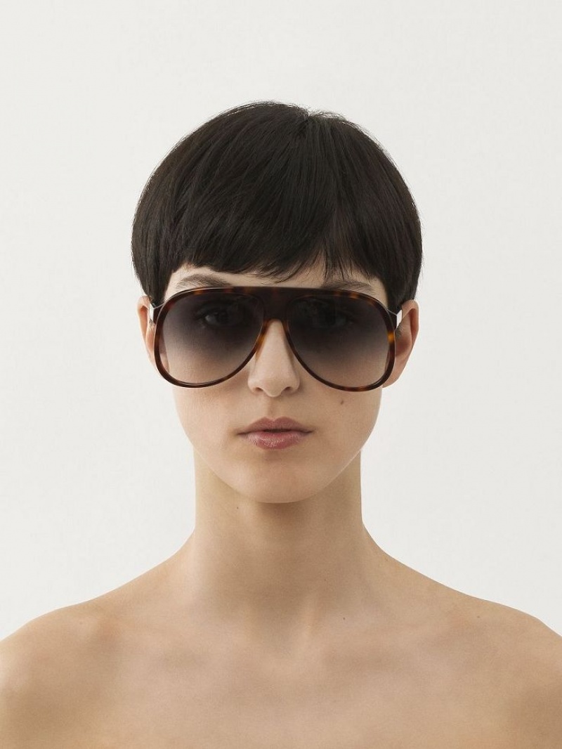 BLACK/HAVANA Chloe Dannie Sunglasses | CHE-SR14569