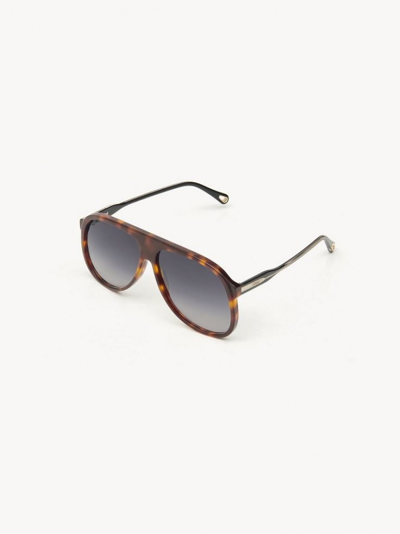 BLACK/HAVANA Chloe Dannie Sunglasses | CHE-SR14569