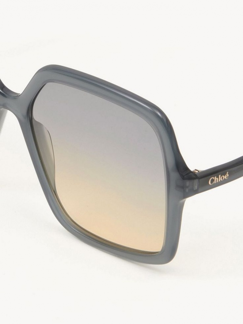 BLUEISH GREY Chloe Zelie Sunglasses | CHE-SR14552