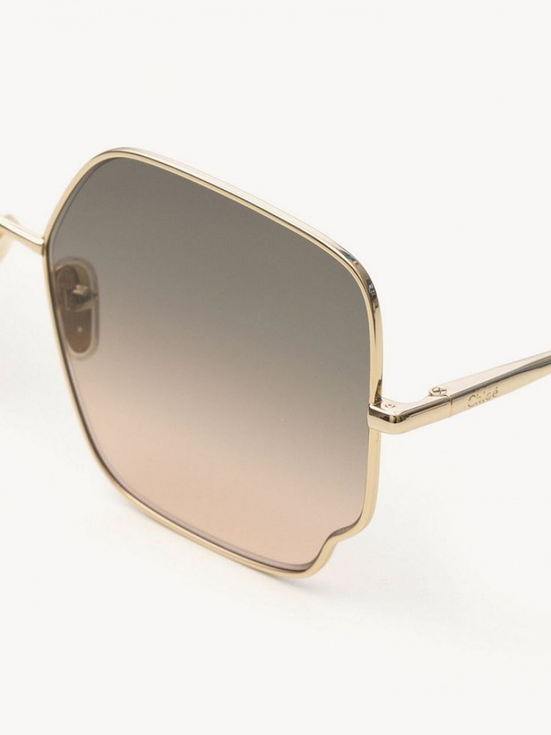 BROWN / BEIGE Chloe Joni Sunglasses | CHE-SR14541