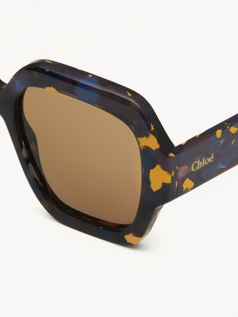 BURGUNDY PANSY Chloe Gayia Sunglasses | CHE-SR14581