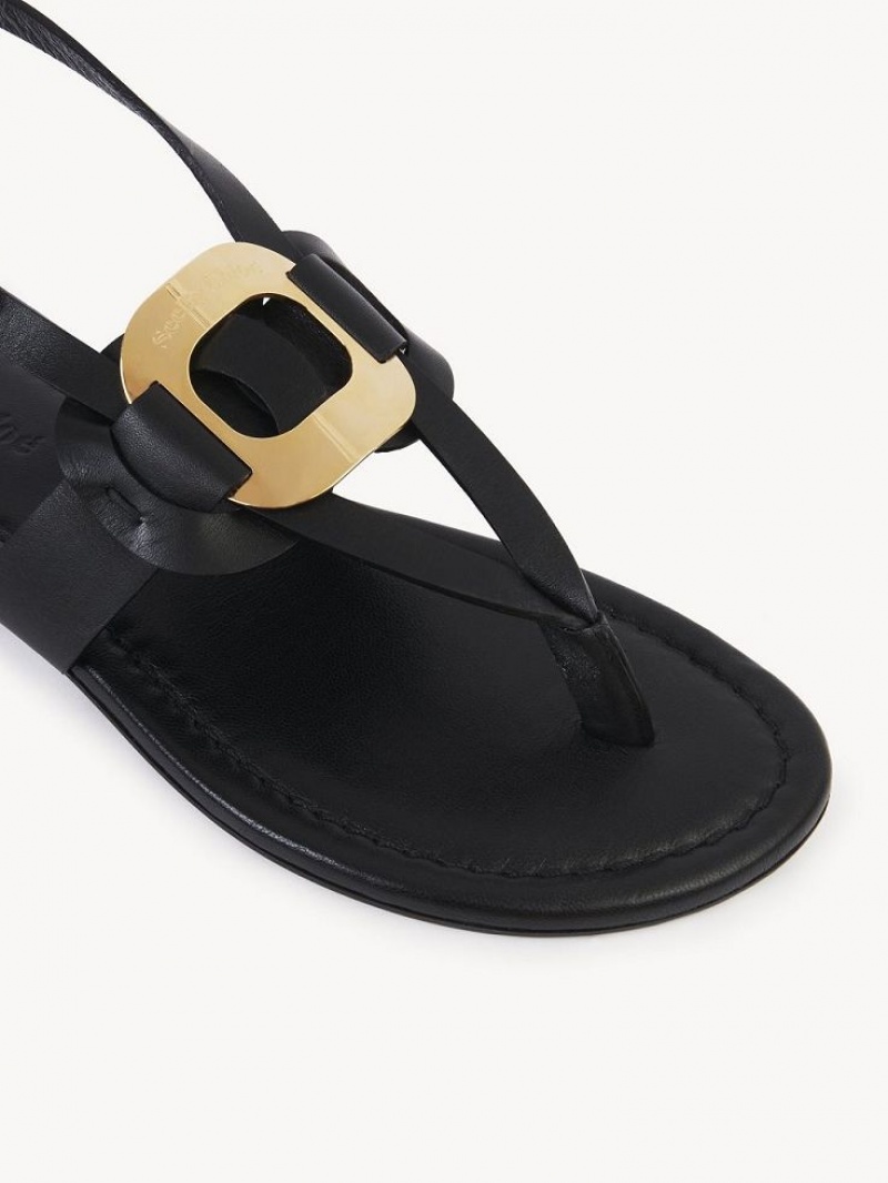 Black Chloe Chany Sandals | CHE-SR14844