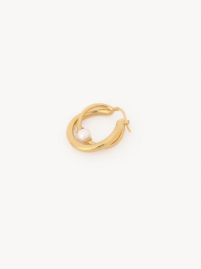 Bright Gold Chloe Darcey Hoop Earrings | CHE-SR14456