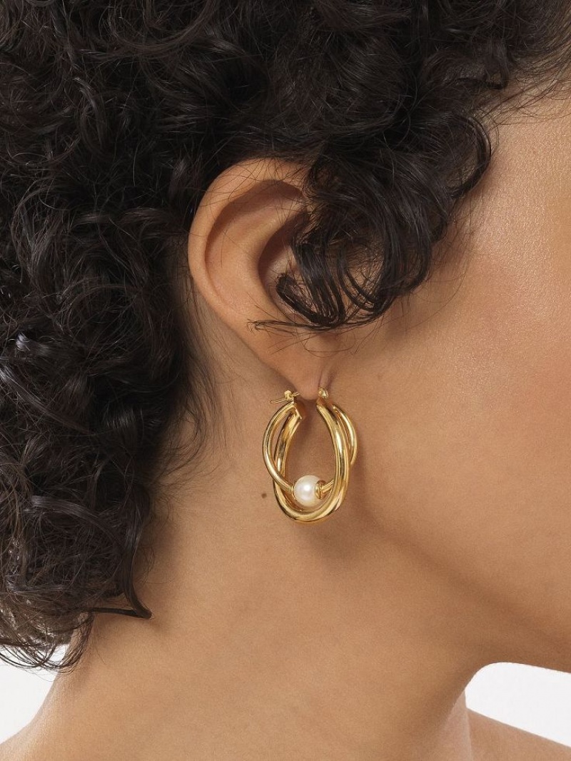 Bright Gold Chloe Darcey Hoop Earrings | CHE-SR14456