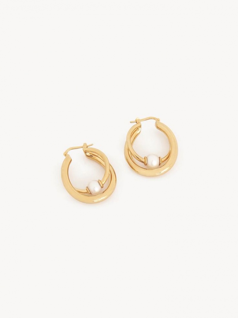 Bright Gold Chloe Darcey Hoop Earrings | CHE-SR14456