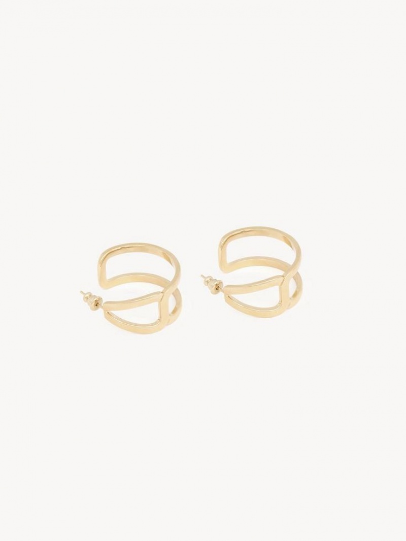 Bright Gold Chloe Marcie Hoop Earrings | CHE-SR14461