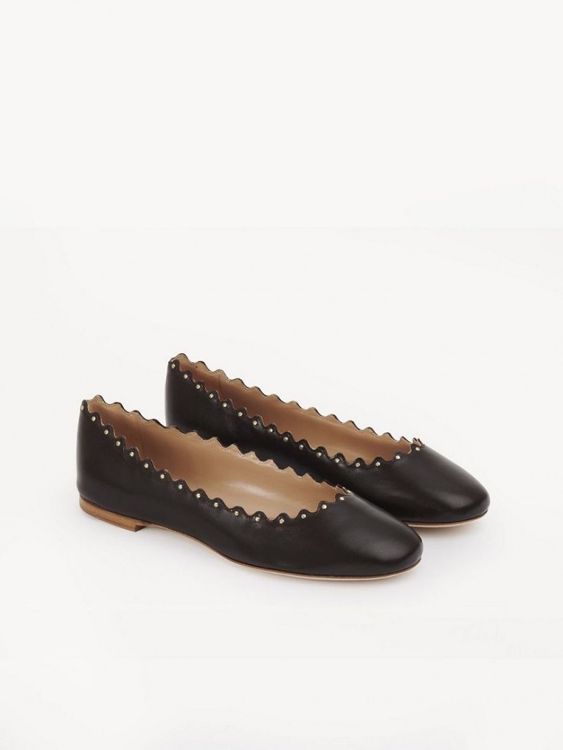 Chocolate Chloe Lauren Ballet Flat | CHE-SR14253