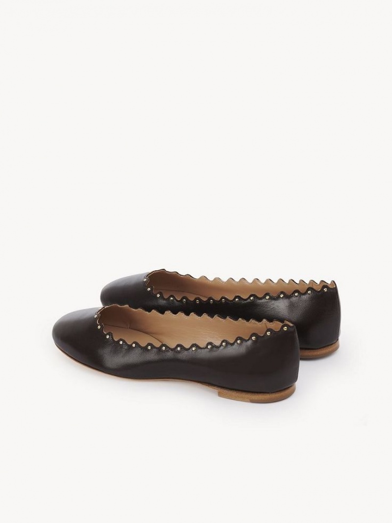 Chocolate Chloe Lauren Ballet Flat | CHE-SR14253