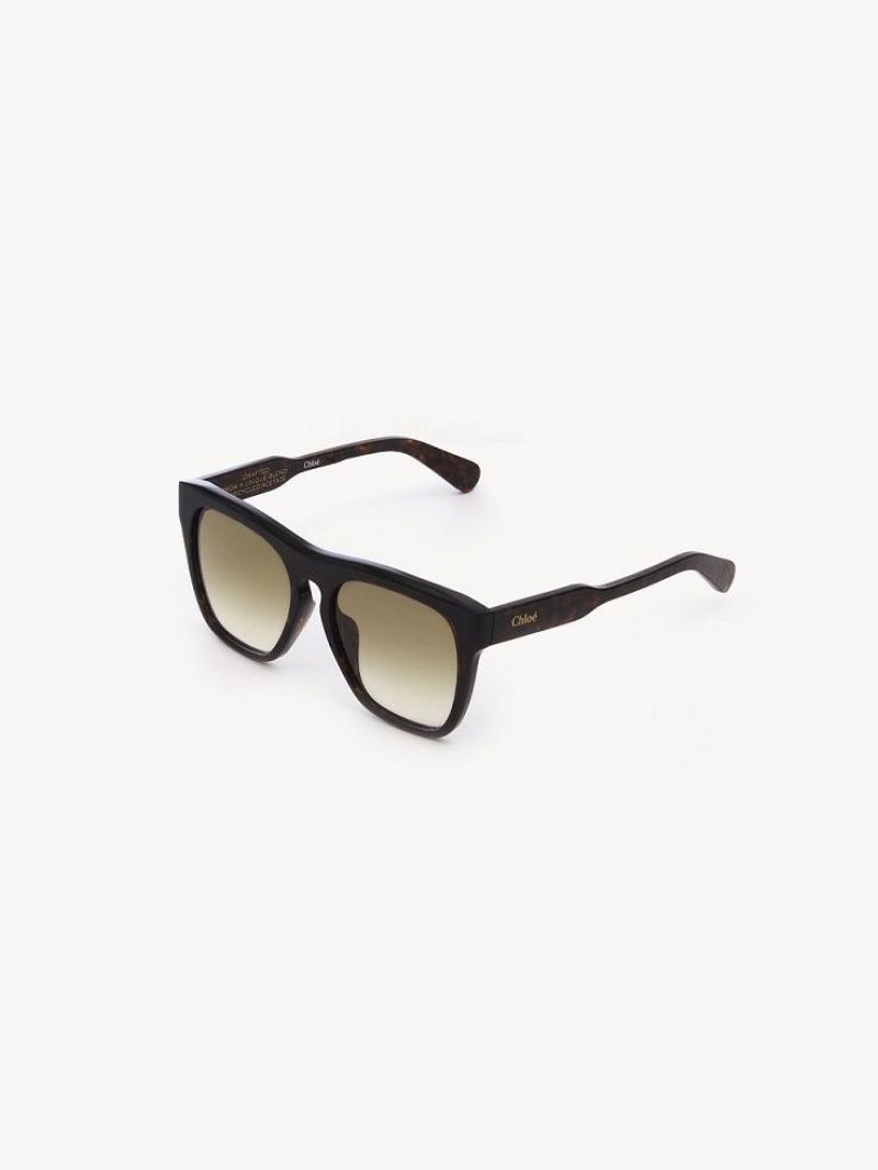 Dark Havana Chloe Gayia Sunglasses | CHE-SR14571