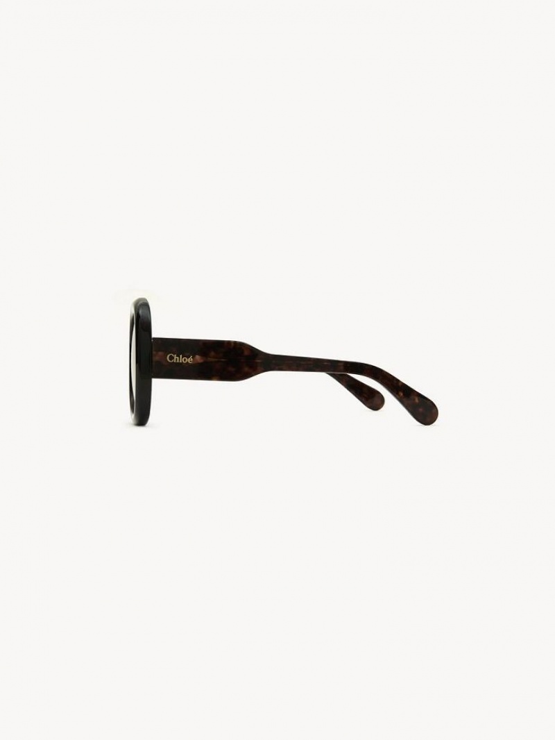 Dark Havana Chloe Gayia Sunglasses | CHE-SR14574