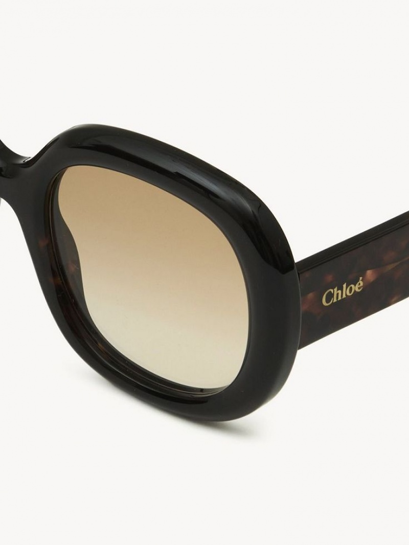 Dark Havana Chloe Gayia Sunglasses | CHE-SR14574