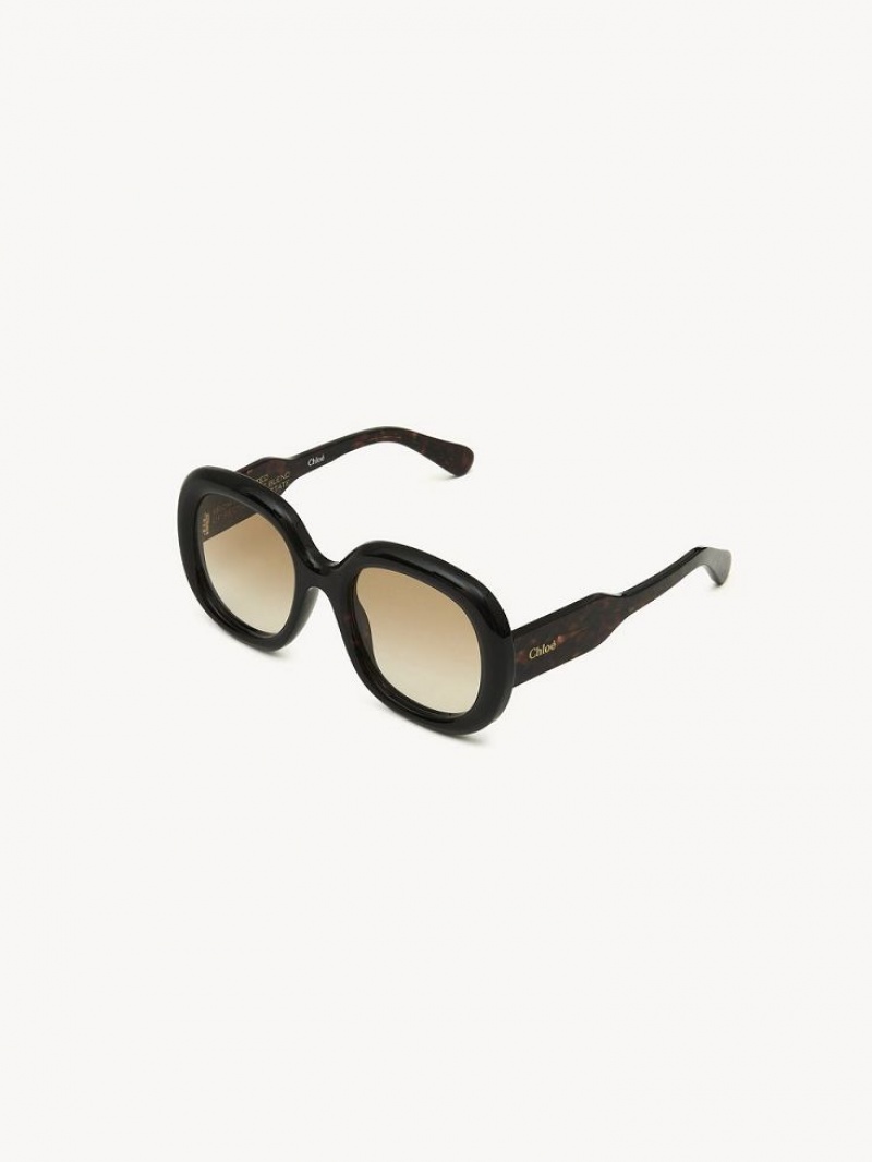 Dark Havana Chloe Gayia Sunglasses | CHE-SR14574