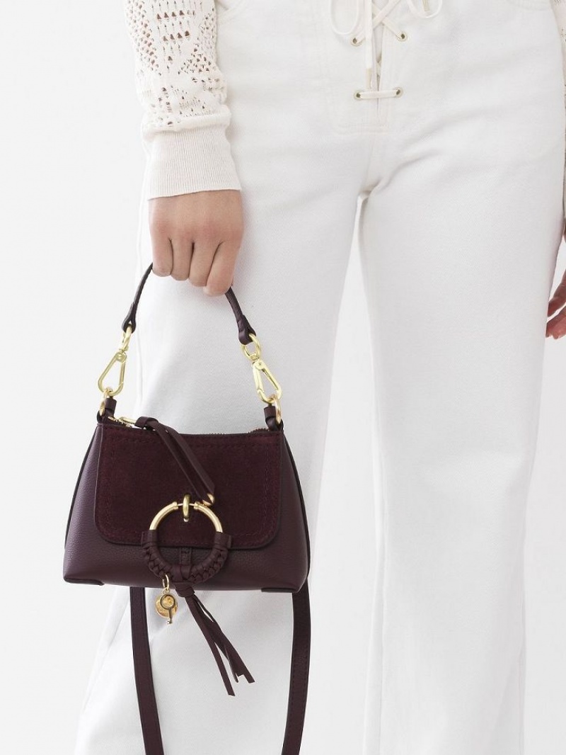 FULL VIOLINE Chloe Joan Mini Bags | CHE-SR14781