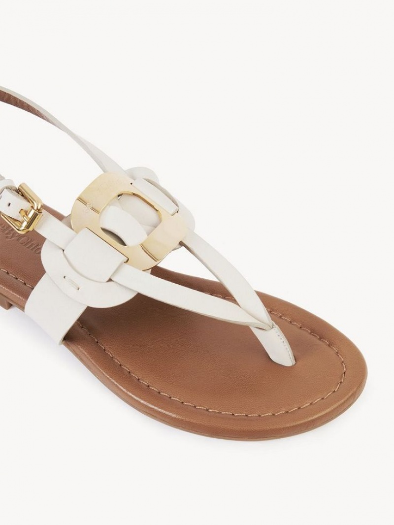 GESSO Chloe Chany Sandals | CHE-SR14845