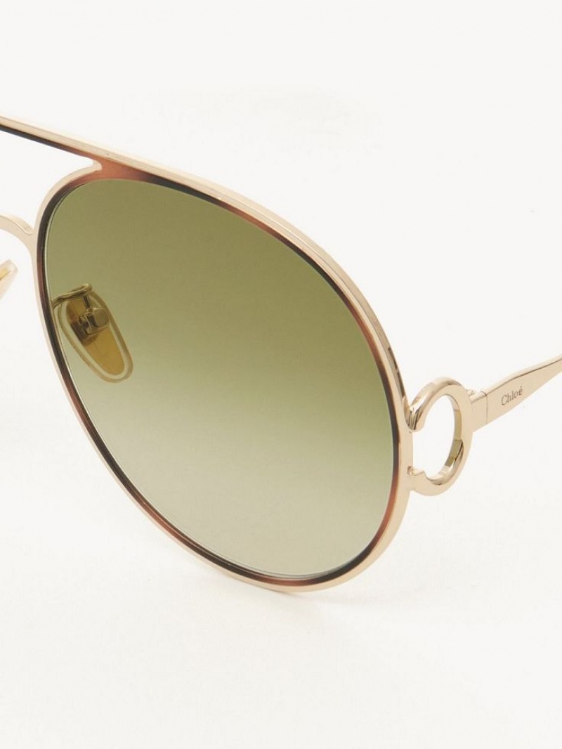 GOLD/HAVANA/GREEN LENS Chloe Austine Sunglasses | CHE-SR14526