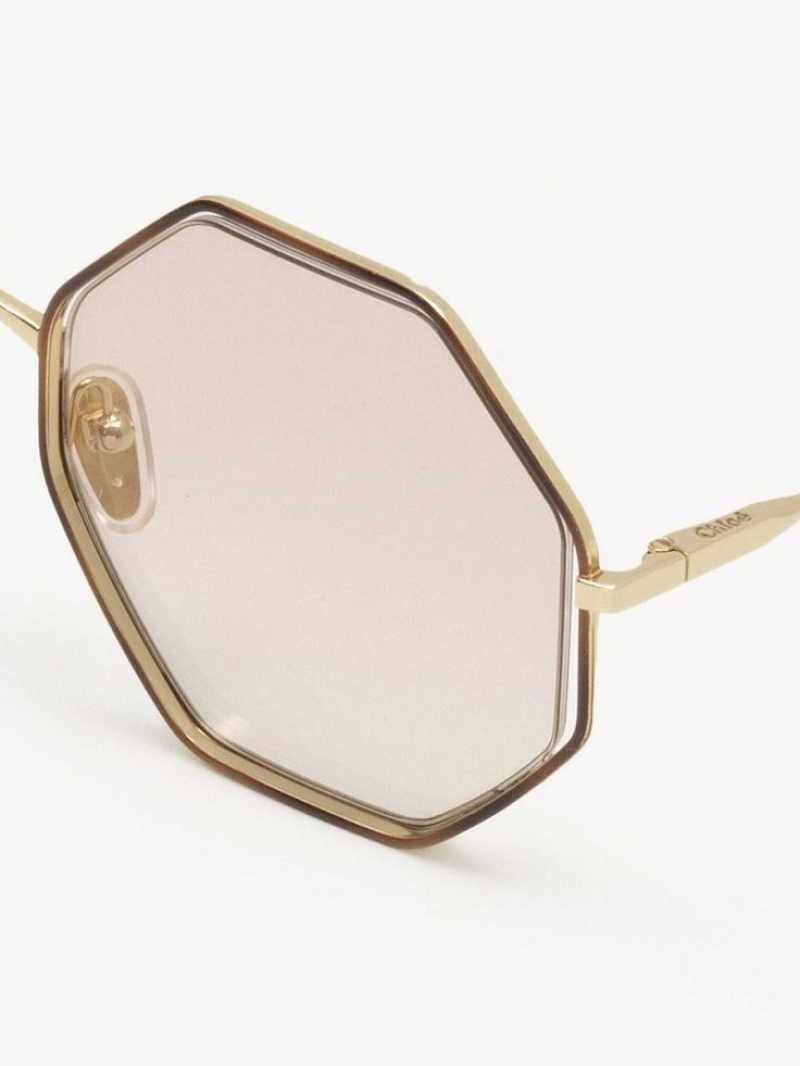 GOLD/NUDE Chloe Poppy Petite Sunglasses | CHE-SR14546