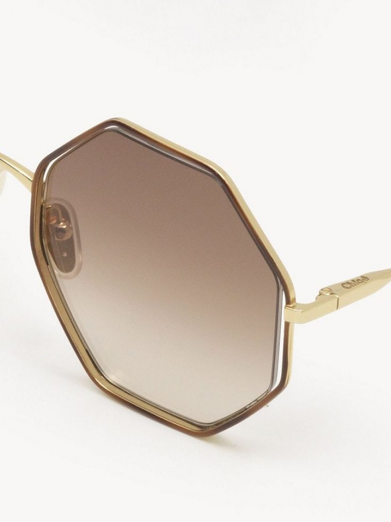 HAVANA / BROWN Chloe Poppy Petite Sunglasses | CHE-SR14545