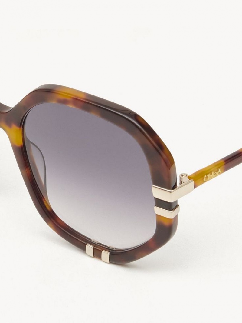 HAVANA / GRAD BLUE Chloe West Small Sunglasses | CHE-SR14517