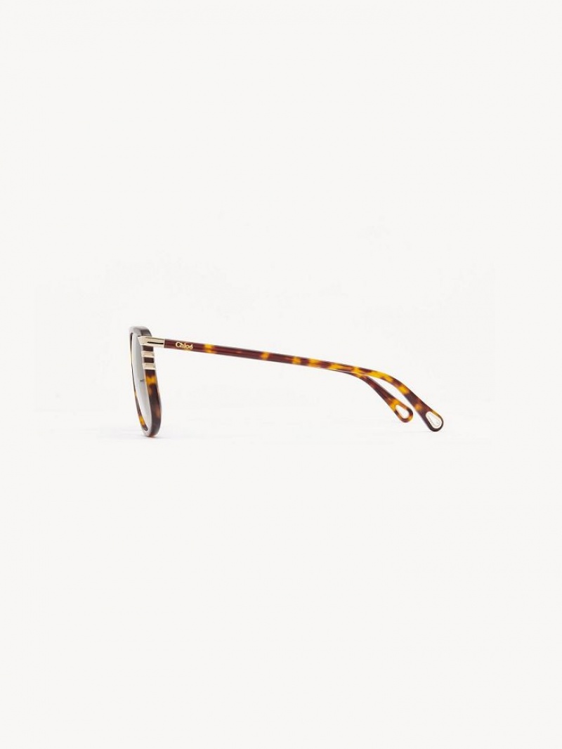 HAVANA / GRAD BLUE Chloe West Small Sunglasses | CHE-SR14520