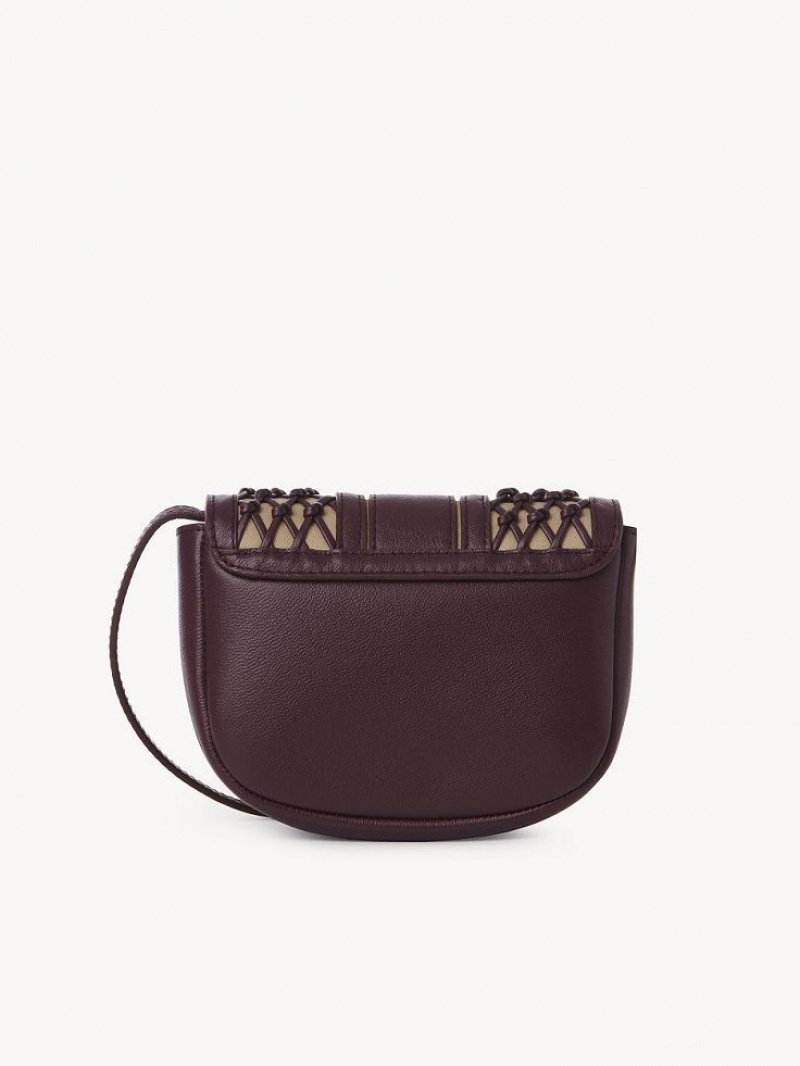 Intense Violine Chloe Hana Mini Bags | CHE-SR14759