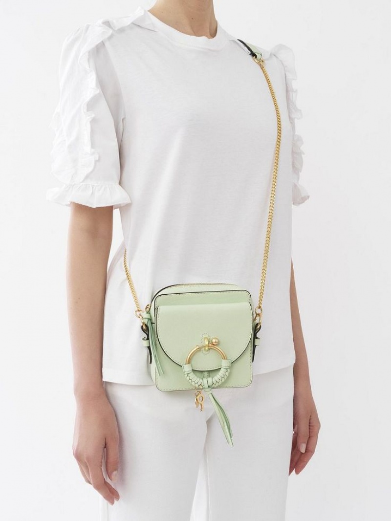 PASTEL GREEN Chloe Joan Camera Mini Bags | CHE-SR14782