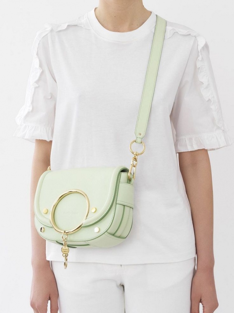 PASTEL GREEN Chloe Mara Shoulder Bags | CHE-SR14673