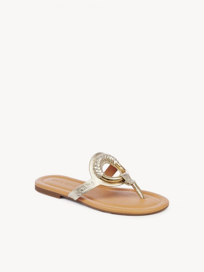 PLATINO Chloe Hana Flip-flop Flats | CHE-SR14829