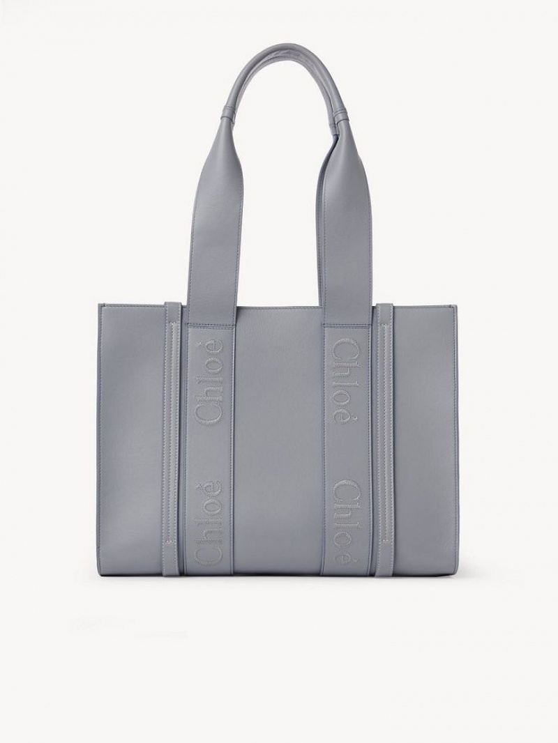 STORM BLUE Chloe Medium Woody Tote Bags | CHE-SR13323